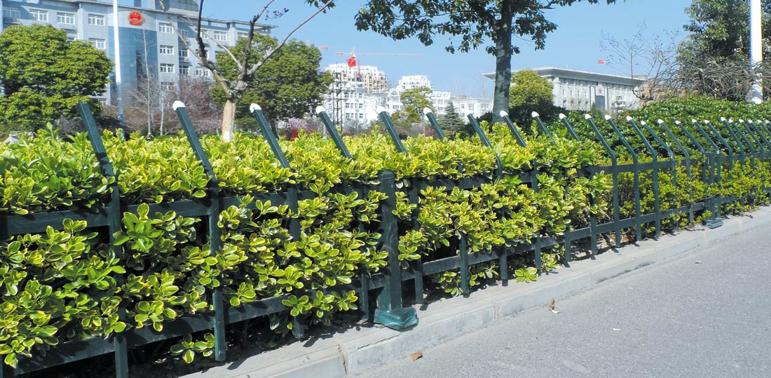 人行道绿化带护栏